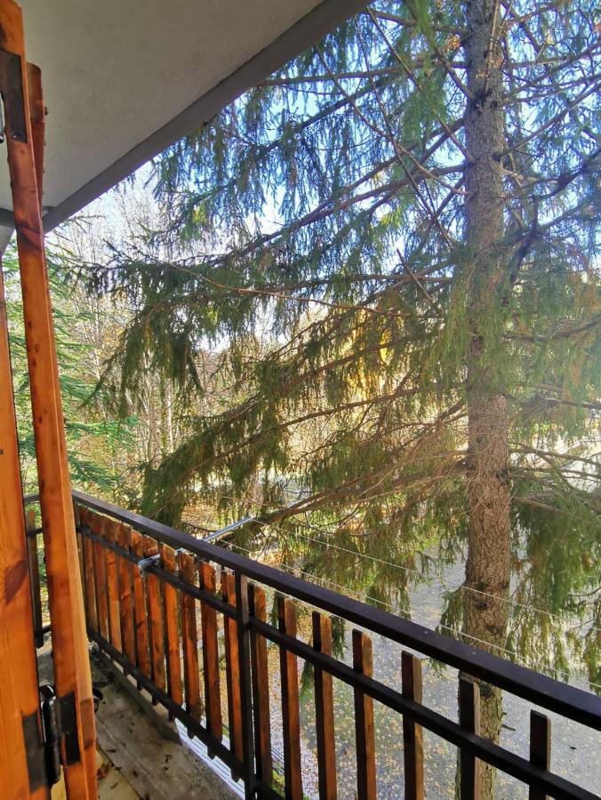 La Casa Di Fantalegno Apartment Camigliatello Silano Bagian luar foto