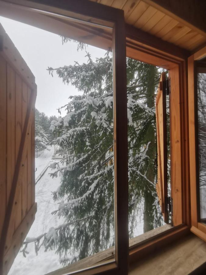 La Casa Di Fantalegno Apartment Camigliatello Silano Bagian luar foto